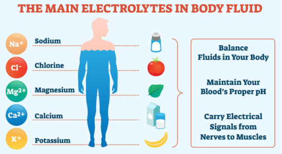 The Science Behind Electrolytes: Essential Minerals for Optimal Health